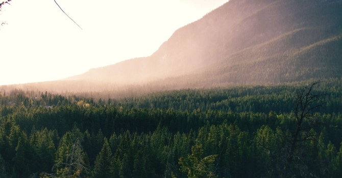 How a Holistic Approach Can Help Get You the Right Diagnosis image