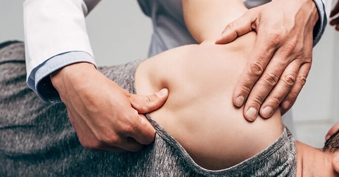 How Does a Chiropractor in Santa Rosa Actually Fix the Root Cause of Pain?